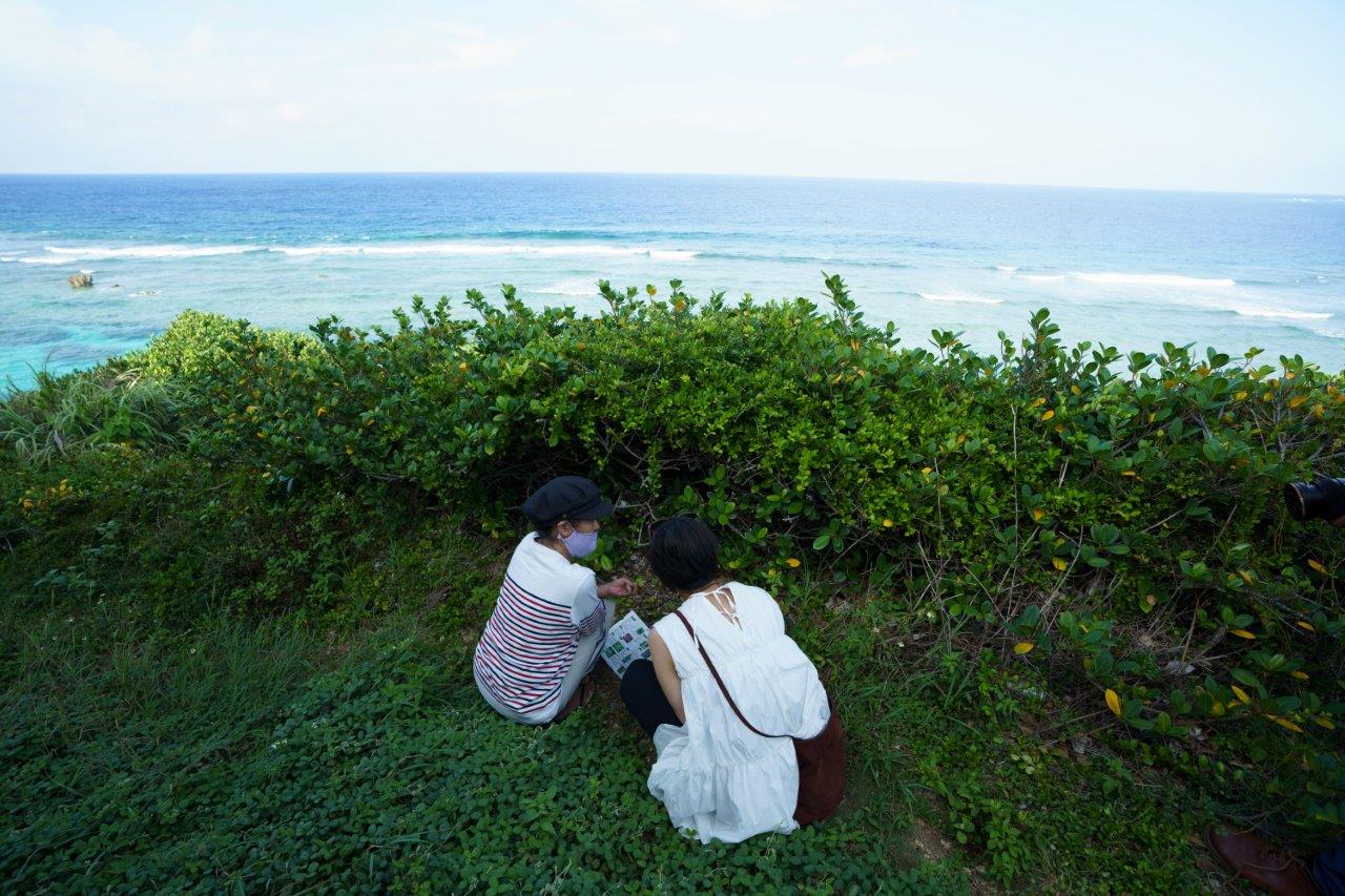 海を臨む崖で薬草を見るタサン志麻さん